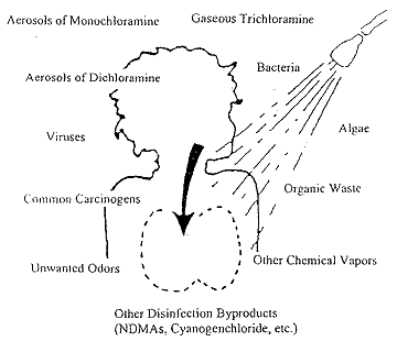 Toxic Showers